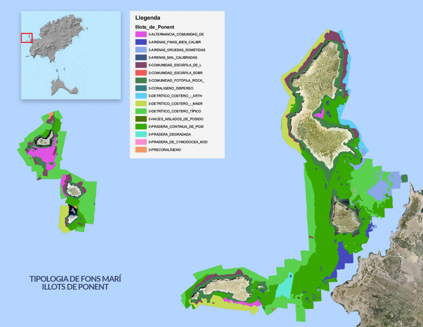 Posidonia grass Cala Conta anchorage warning