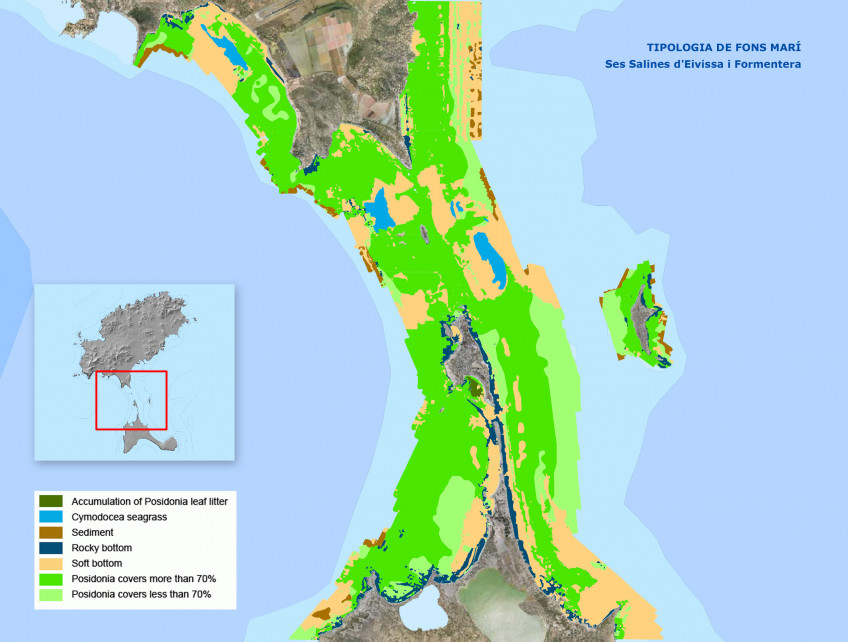 Posidonia grass Ses Salines and Forentera anchorage warning
