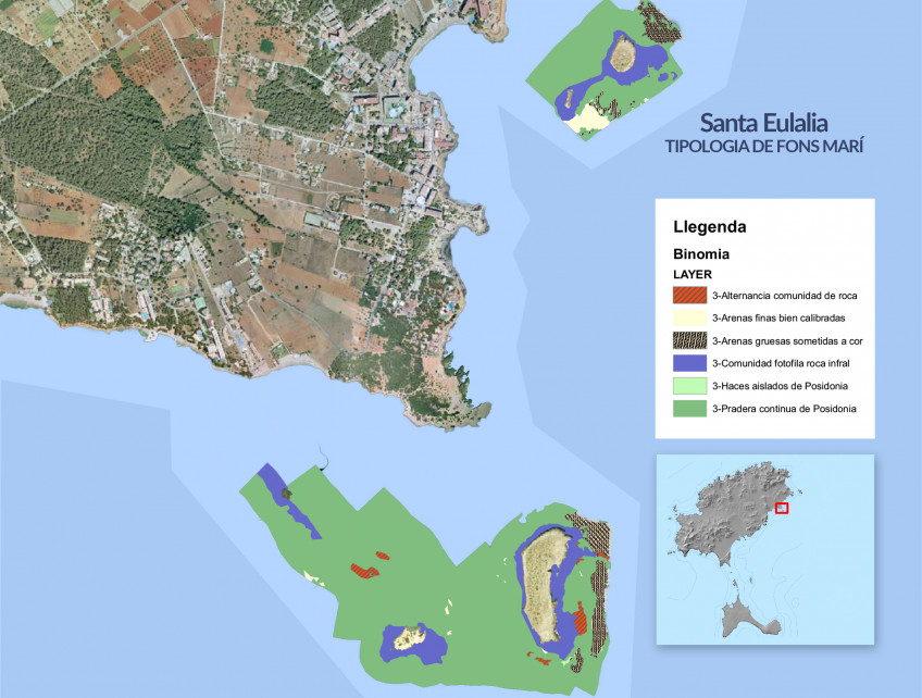 Posidonia grass Santa Eulalia, anchorage warning